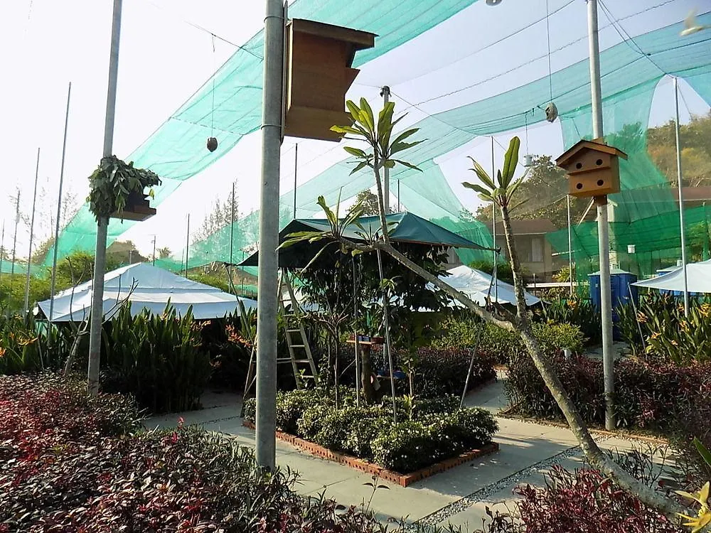 T Star Cottage Langkawi Pantai Cenang  Szálloda