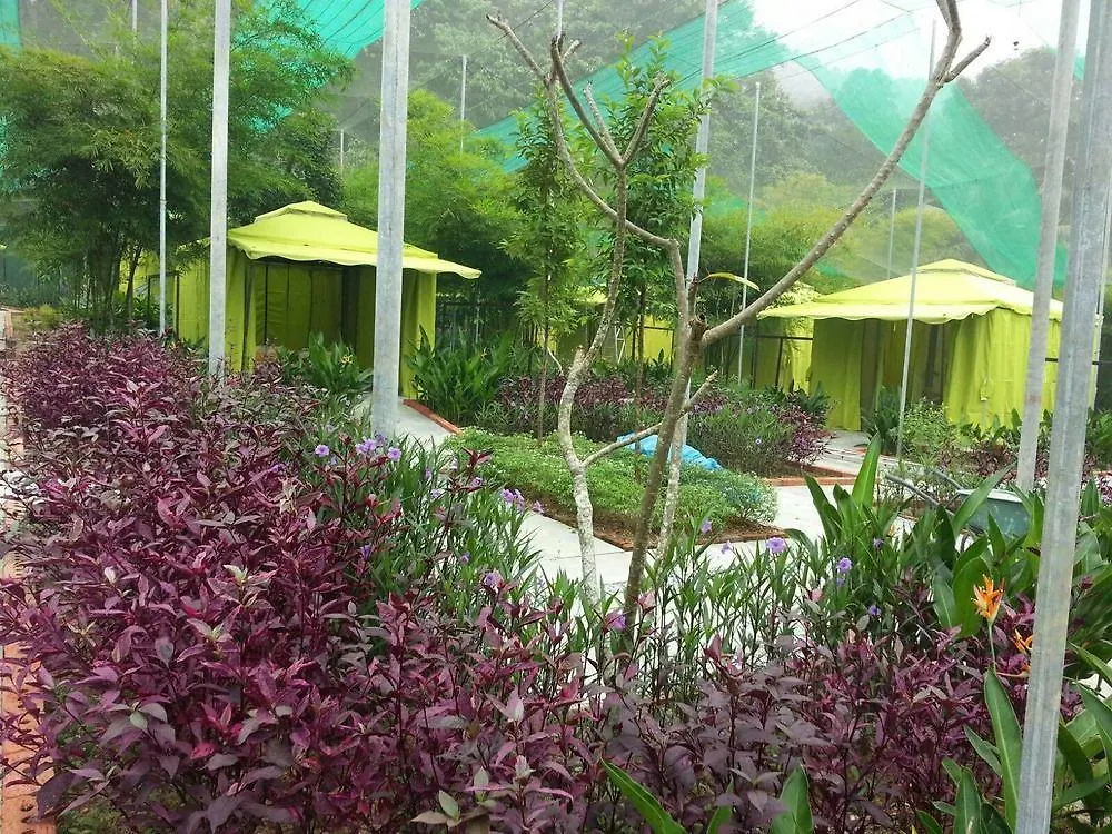 T Star Cottage Langkawi Pantai Cenang  Pantai Cenang (Langkawi)