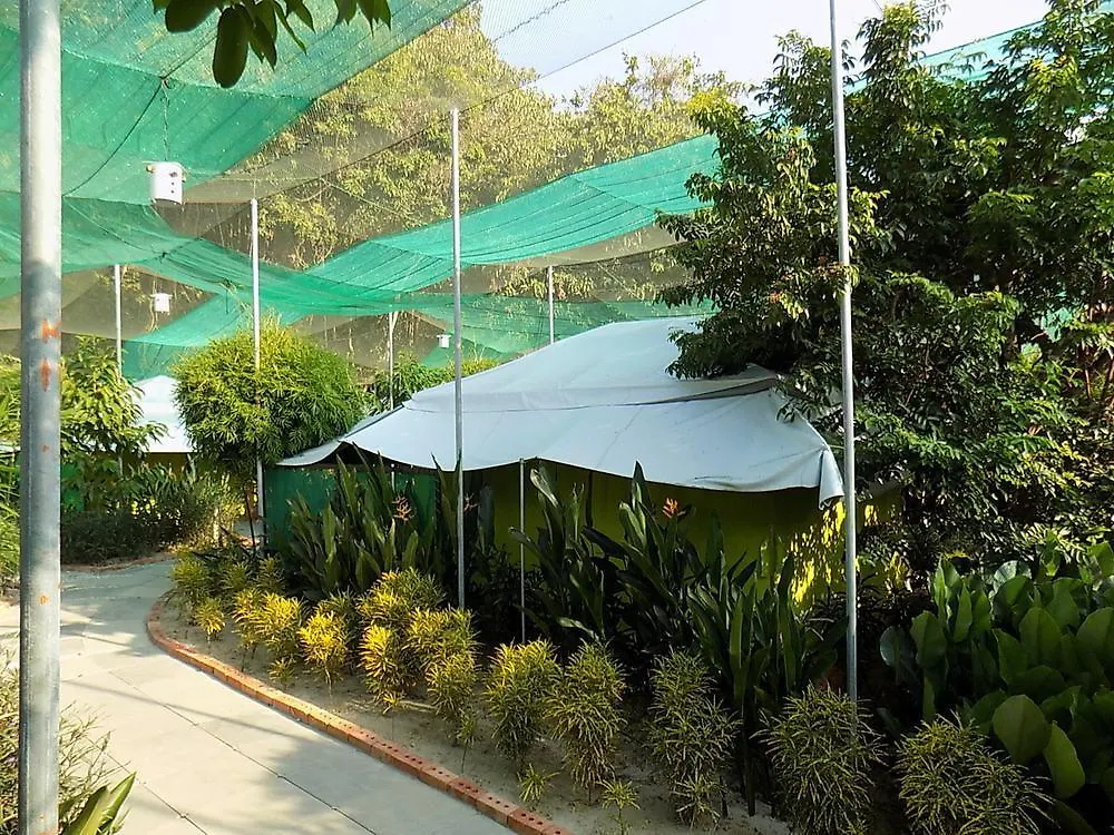 T Star Cottage Langkawi Pantai Cenang  0*, Pantai Cenang (Langkawi)