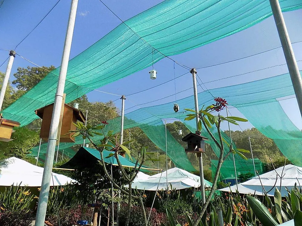 T Star Cottage Langkawi Pantai Cenang  Hotel